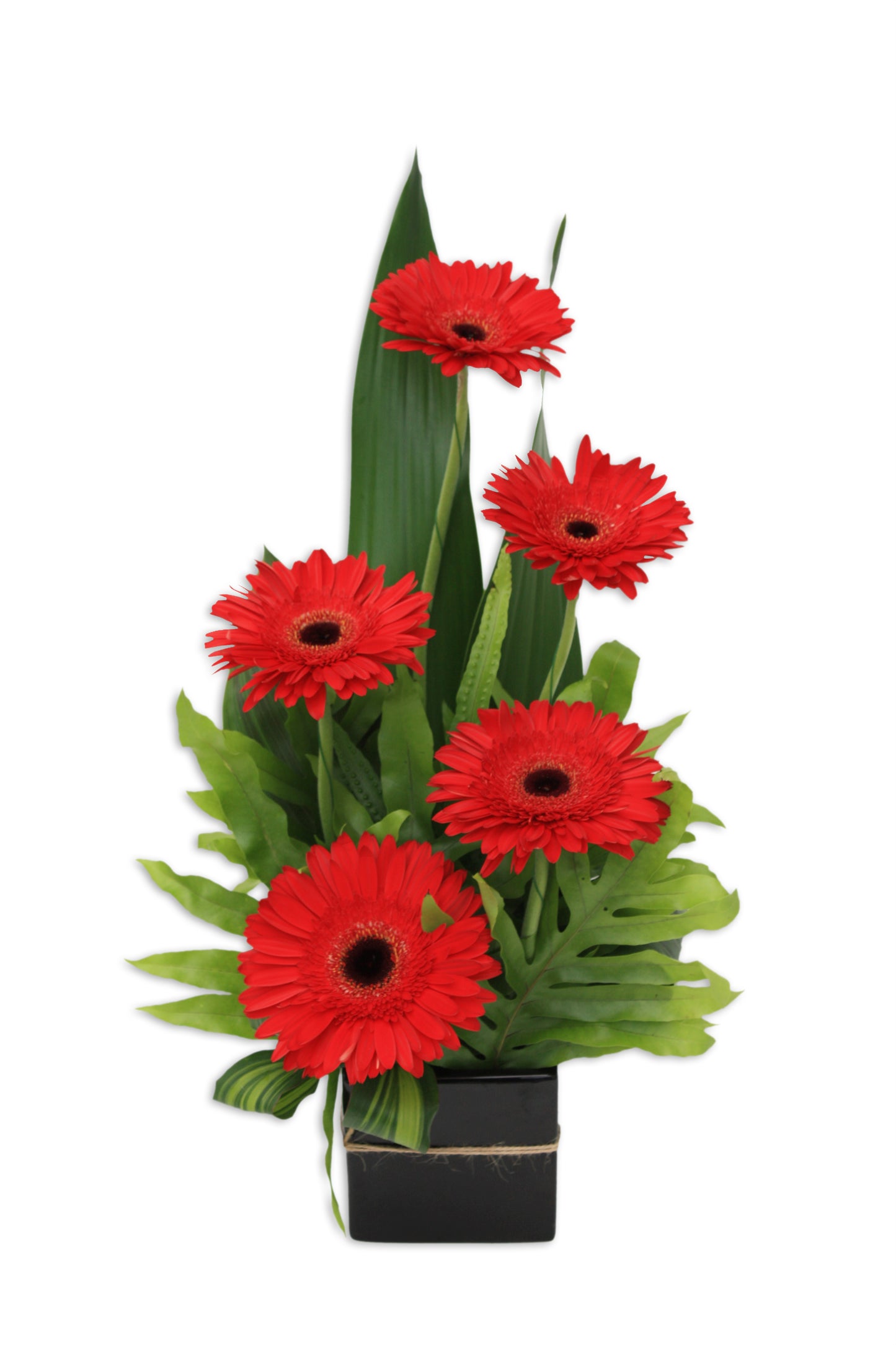Gerebera Jazz Mothers Day Flower Arrangement