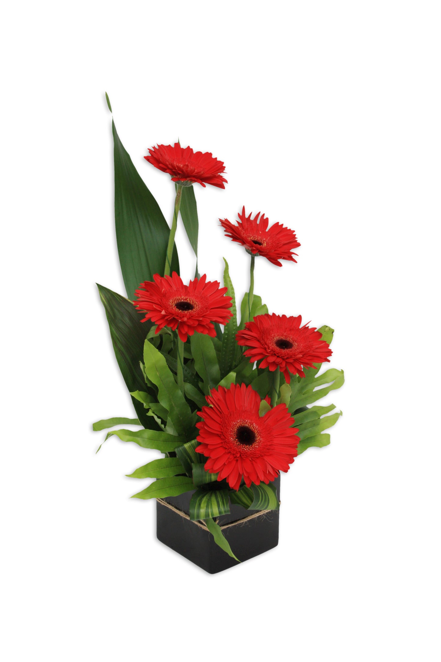 Gerebera Jazz Mothers Day Flower Arrangement