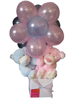 Baby Twins Balloon Topiary Gift