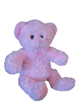 Jenny Pink Teddy Bear