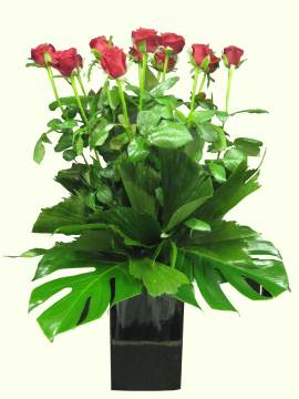 Valentines 1 Dozen Long Stem Red Roses in Ceramic Vase