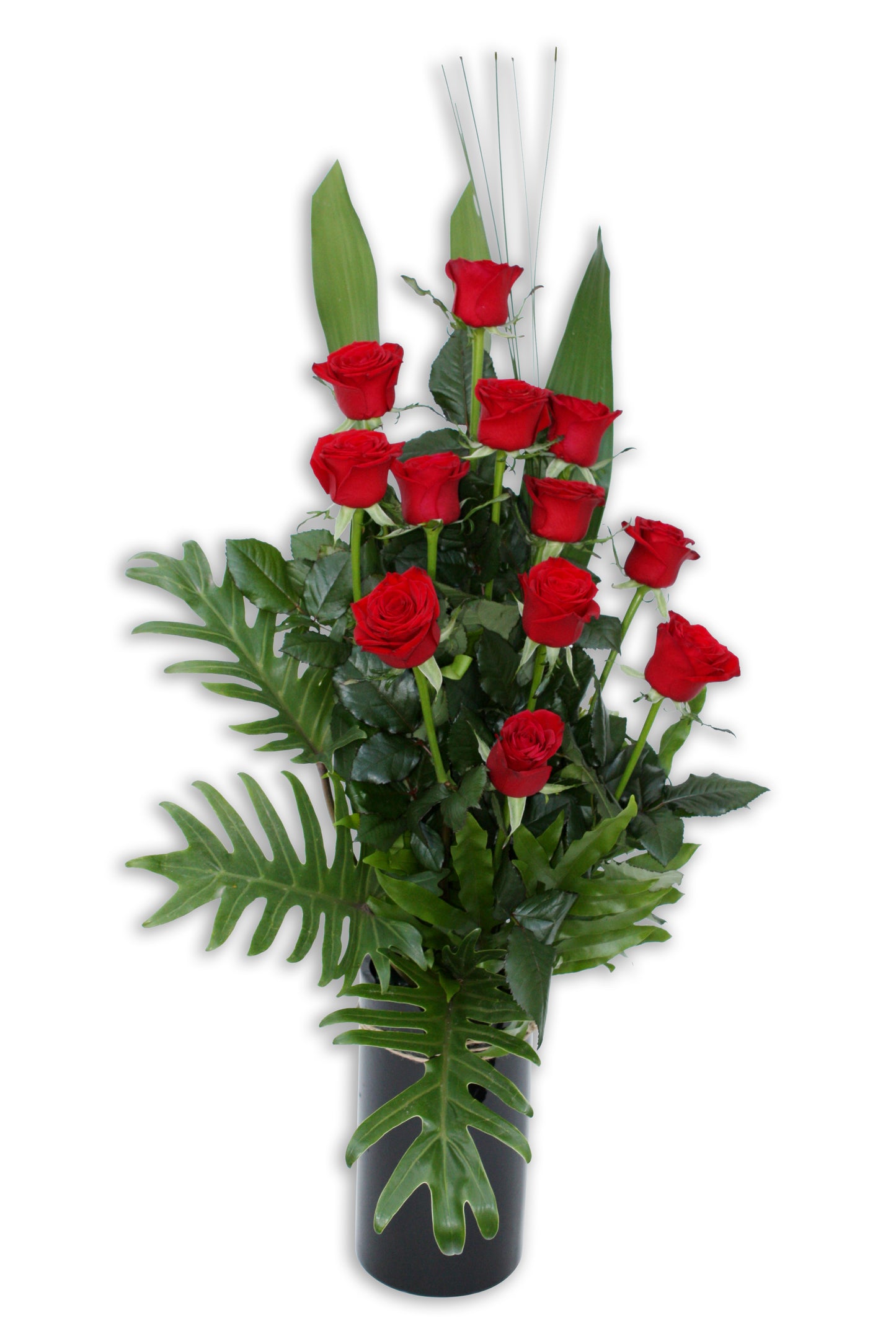 Valentines 1 Dozen Long Stem Red Roses in Ceramic Vase