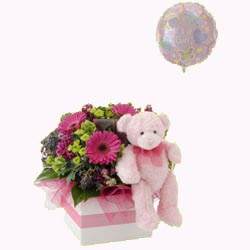Baby Girl Box Arrangement with Teddy Bear & Balloon