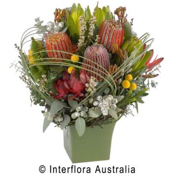 Large Native Arrangement