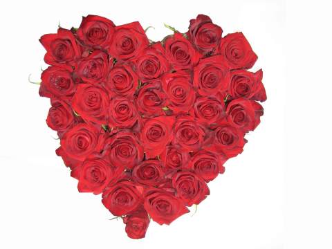 Forever - Premium Roses in a Heart