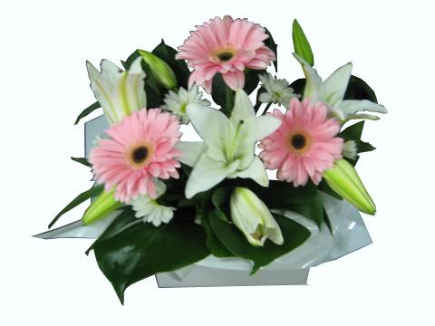 Softy - Pinks and Whites Flower Arrangement