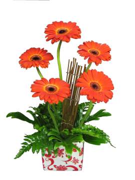 Gerebera Jazz Mothers Day Flower Arrangement