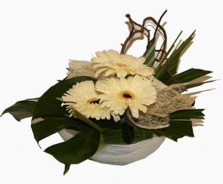 So Stylish - Mothers Day Flowers Perth