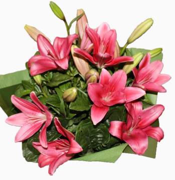 Bunch of Bright Liliums Mothers Day Flower Bouquet