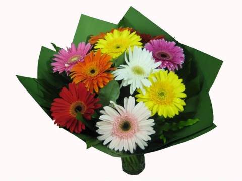 Gerbera Flower Bouquet - Perth Mothers Day Flowers