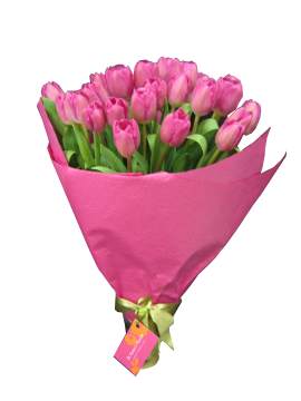 Amsterdam - Premium Mothers Day Tulip Bouquet