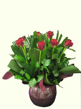 Premium Rose Bowl Arrangement - Mothers Day Roses