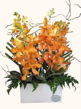 Orchid In Vase Flower Arrangement