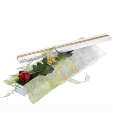 Valentine's Long Stem Red Rose In Presentation Box