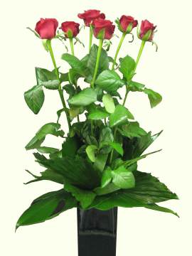 Valentines 6 Long Stem Red Roses in Ceramic Vase