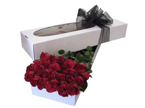 Valentines 2 Doz Long Stem Red Roses in Presentation Box